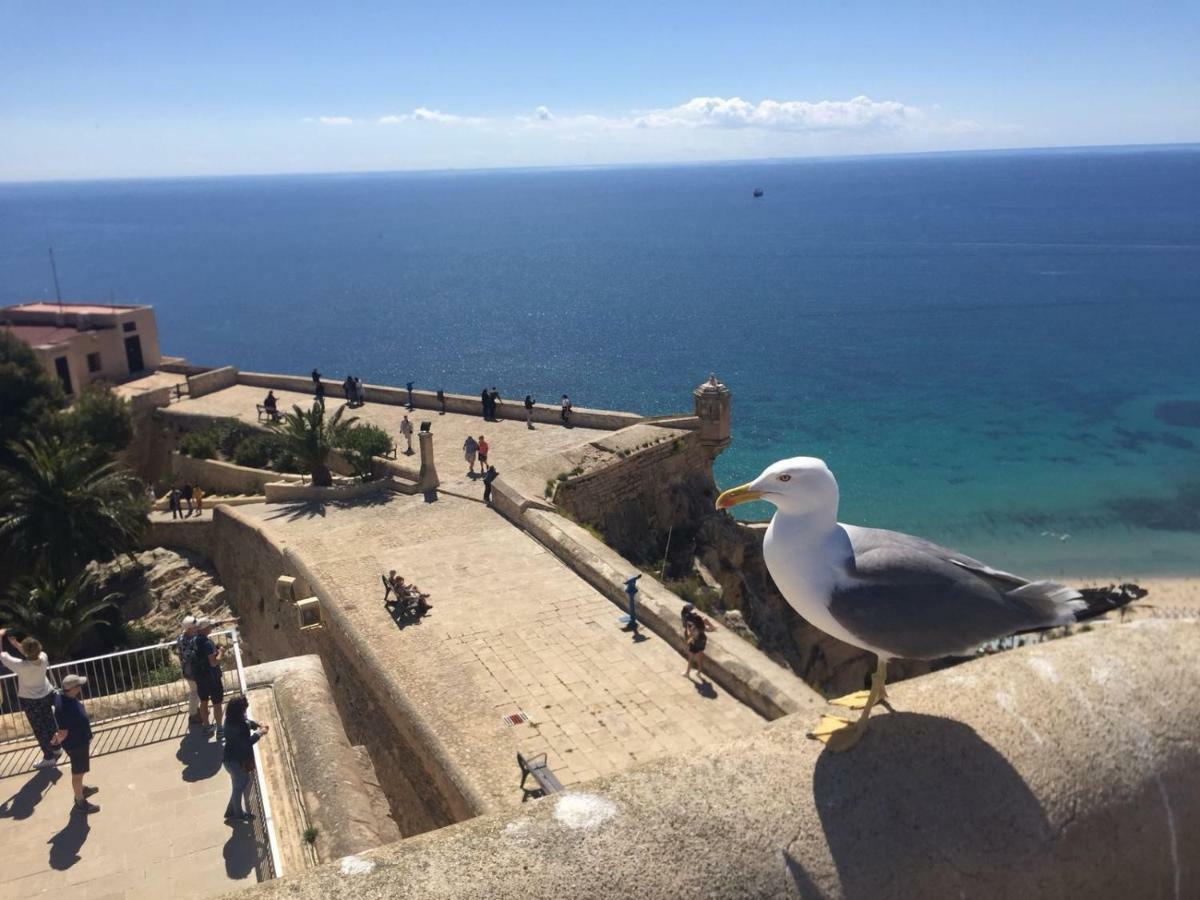 Apartamento Centrico Castillo S. Barbara Alicante Zewnętrze zdjęcie